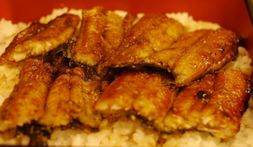 日本人愛在夏天吃鰻魚　料理專家搖頭：其實這個季節吃才好！