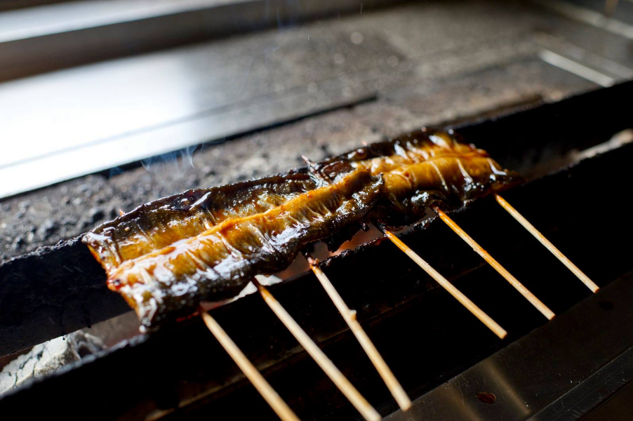 立夏到了！夏令進補養氣飲食須知看這裡！