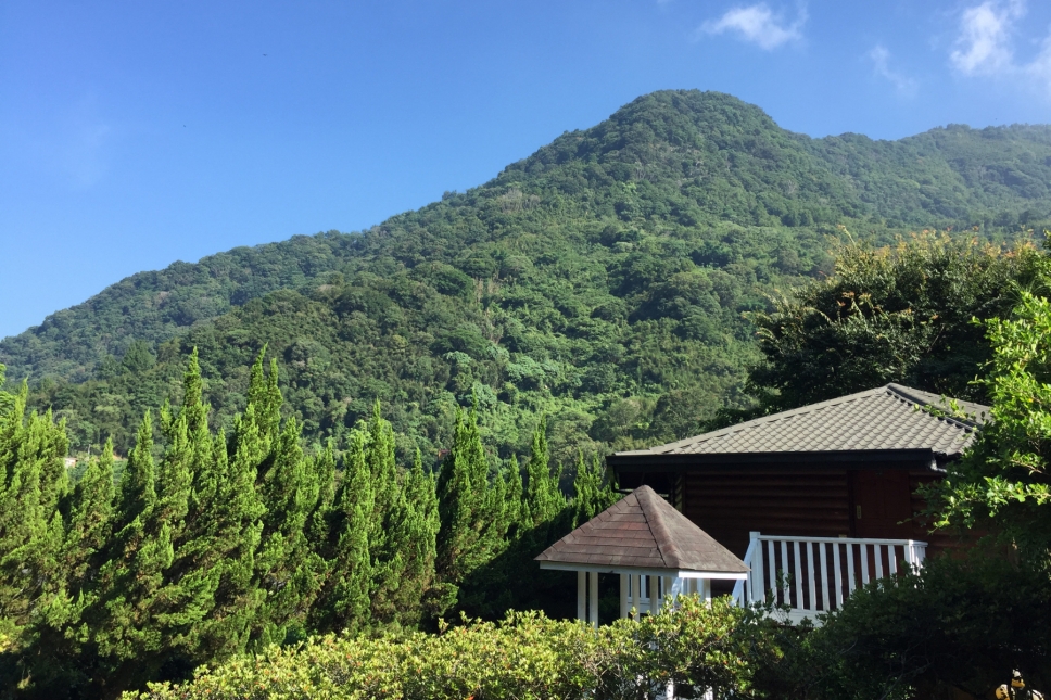 探索苗栗泰安騰龍溫泉山莊，冬季療癒的溫泉之旅！