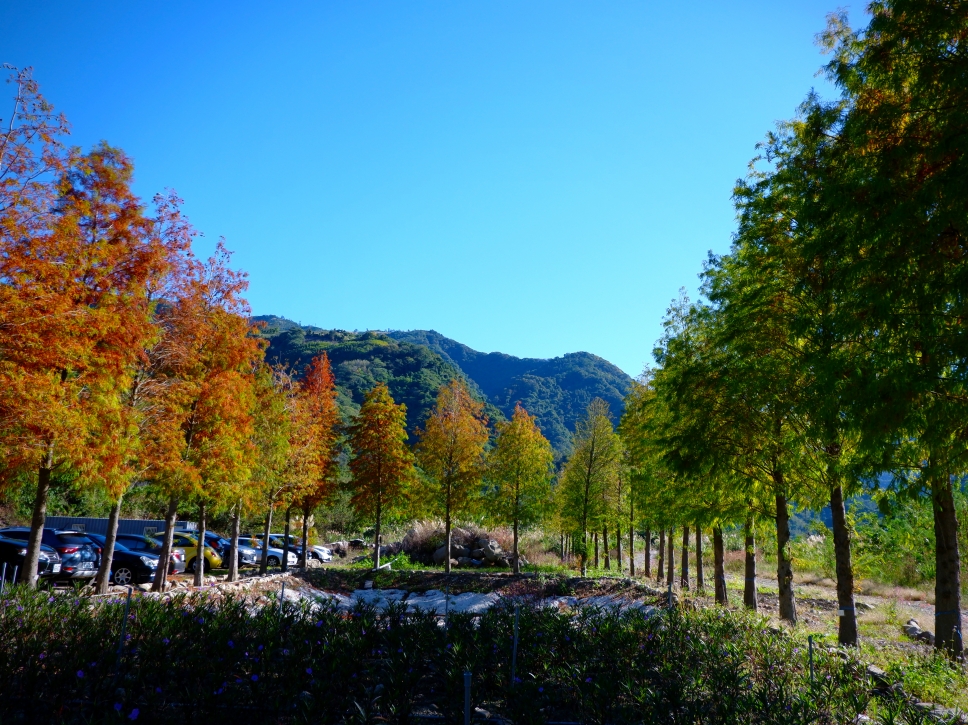 戀戀草莓季的浪漫輕旅行，當個網美的草莓溫泉野奢之旅