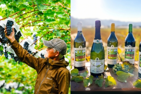 從果樹園到精品酒莊｜頂粵吉品攜手日本 Woody Farm 打造頂級餐酒饗宴